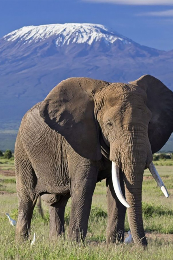Amboseli-Reserve-4